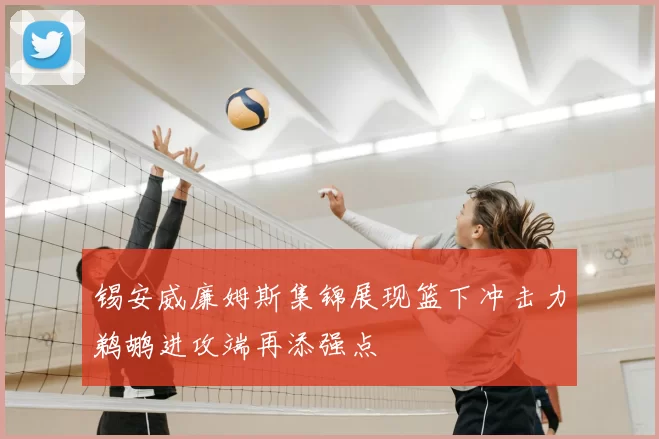 锡安威廉姆斯集锦展现篮下冲击力鹈鹕进攻端再添强点