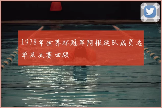 1978年世界杯冠军阿根廷队成员名单及决赛回顾