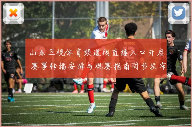 山东卫视体育频道线直播入口开启 赛事转播安排与观赛指南同步发布