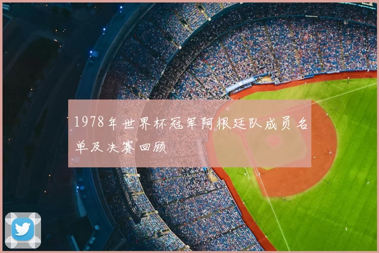 1978年世界杯冠军阿根廷队成员名单及决赛回顾