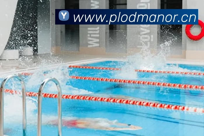 九游版官网入口服务体系