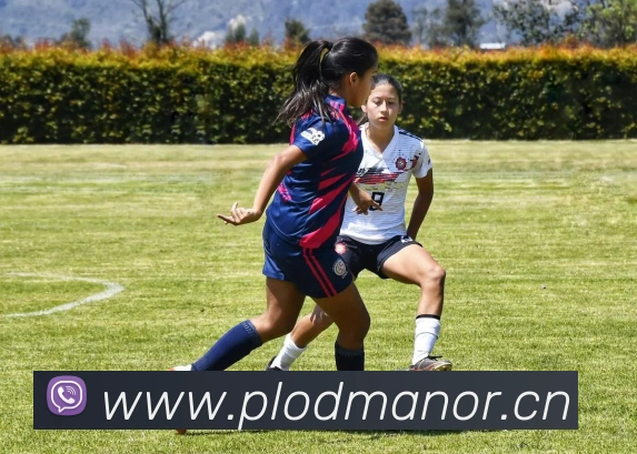 体育赛事直播